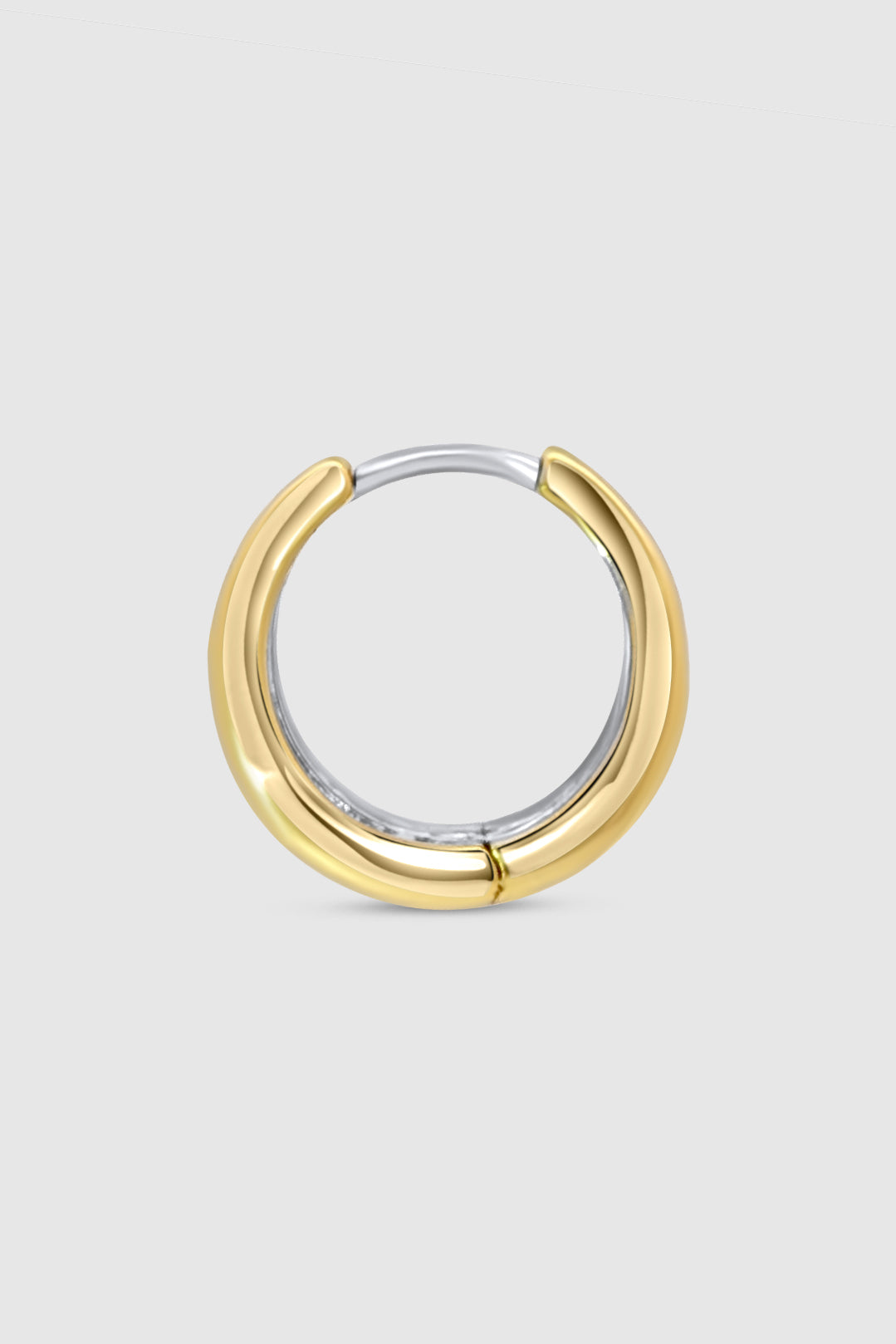 Two Tone Duo Hoop